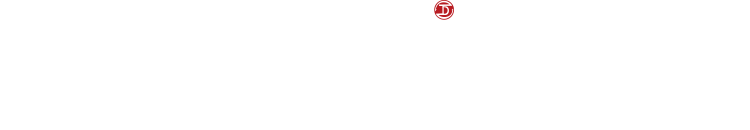 地天泰集团国雅logo
